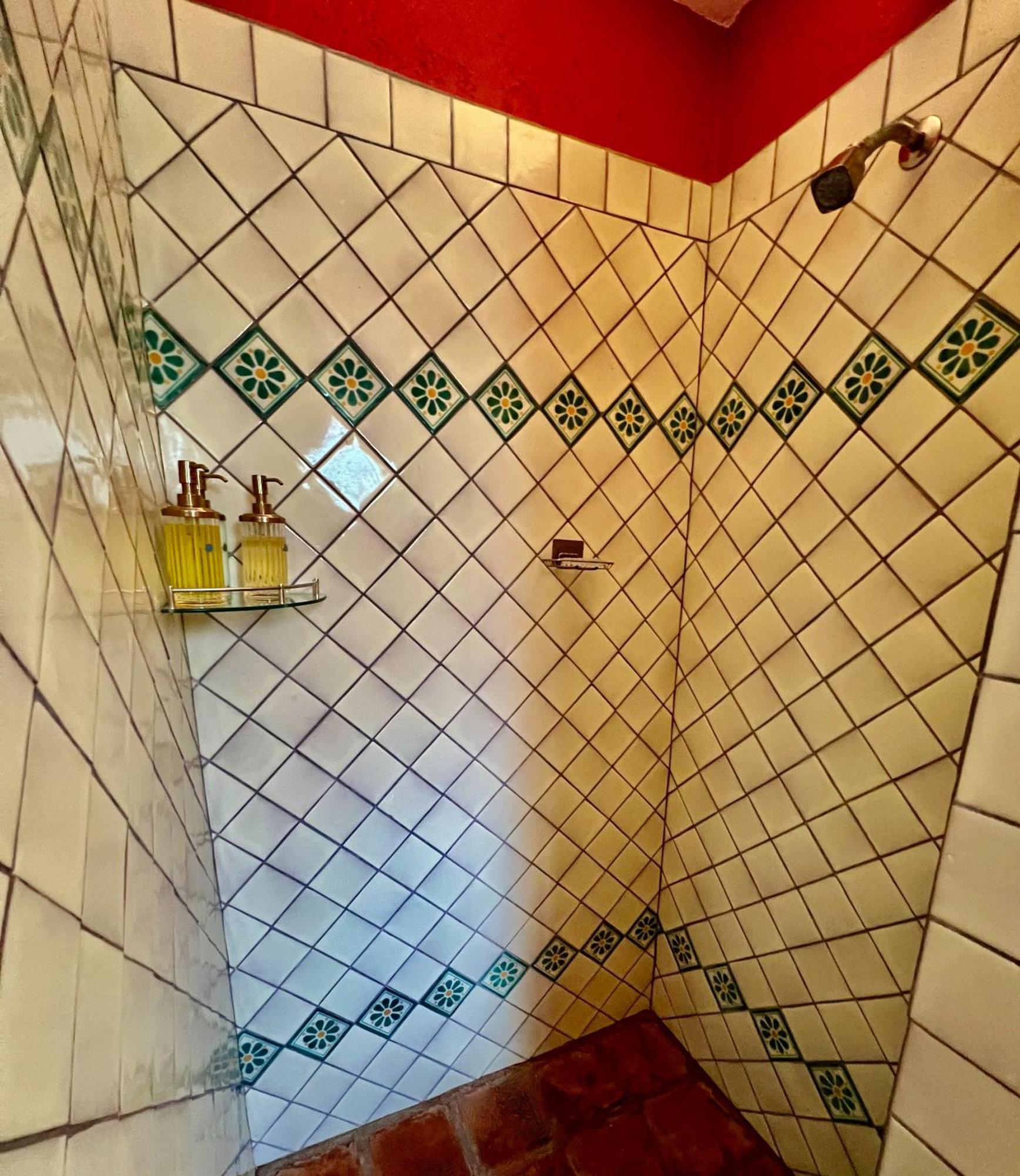 Boutique Hotel Casa Camellia San Miguel de Allende Luaran gambar