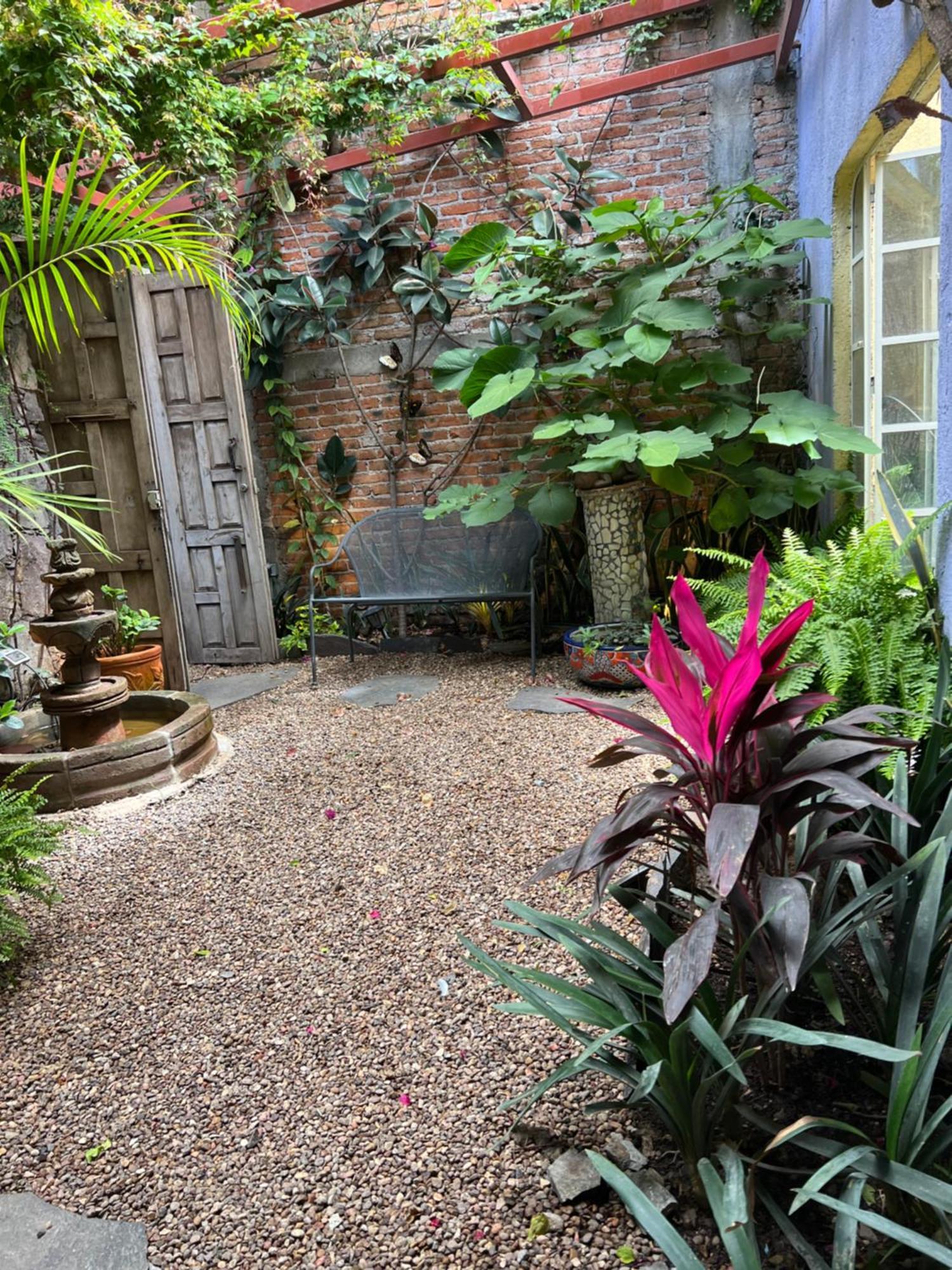 Boutique Hotel Casa Camellia San Miguel de Allende Luaran gambar
