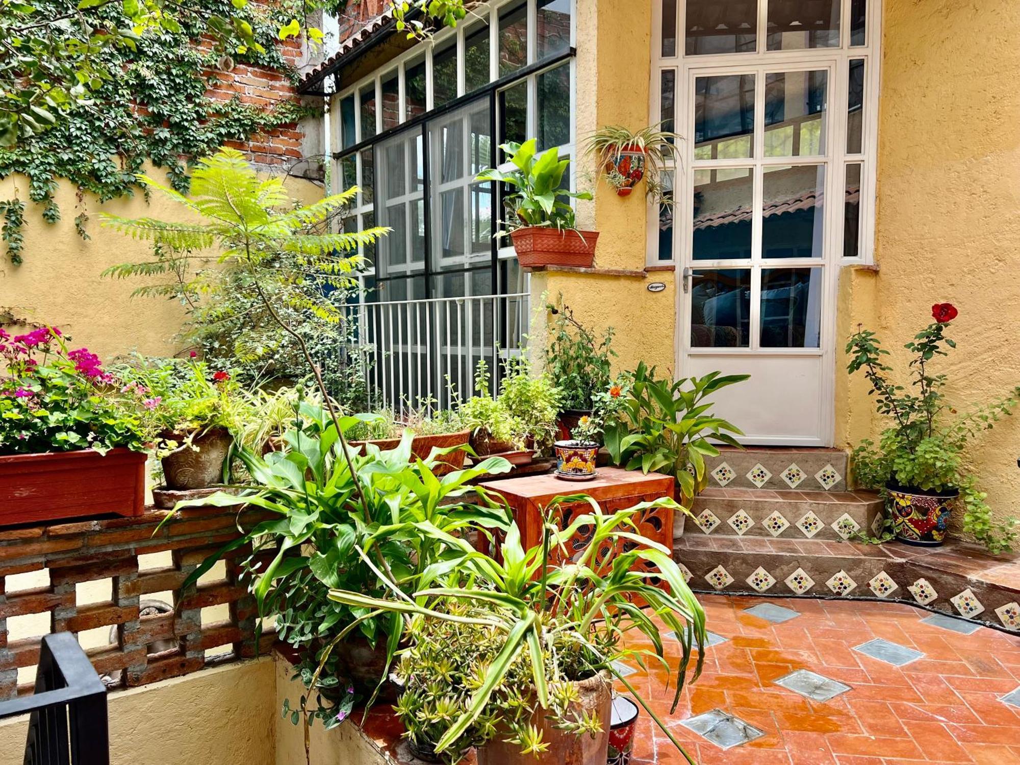 Boutique Hotel Casa Camellia San Miguel de Allende Luaran gambar