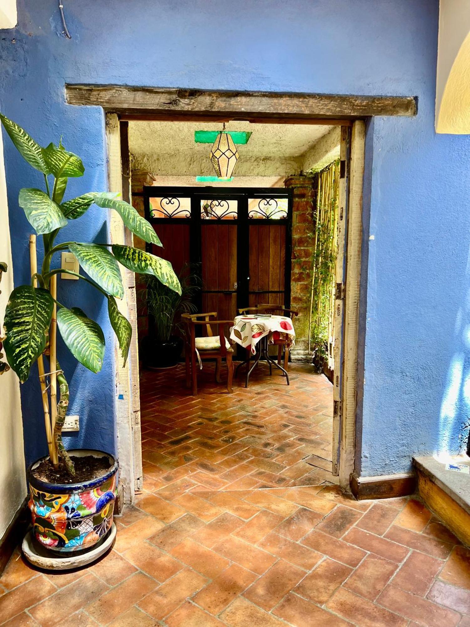 Boutique Hotel Casa Camellia San Miguel de Allende Luaran gambar